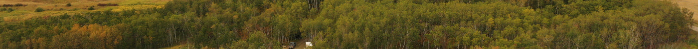 Agriculture and Natural Environments