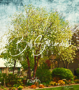 Amur Cherry Bike Stand