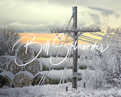 Frosty Bales and a Telegraph Pole