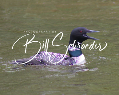 The Call of the Loon