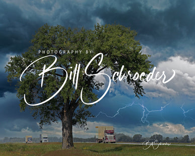 Portage Trucks Cottonwood and Lightning