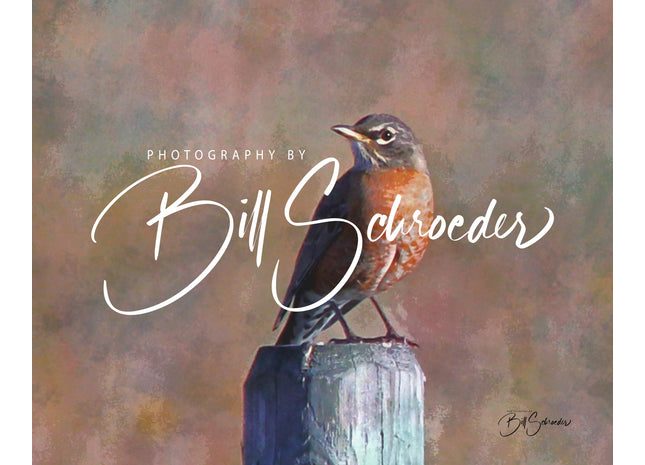 Robin on a Fencepost