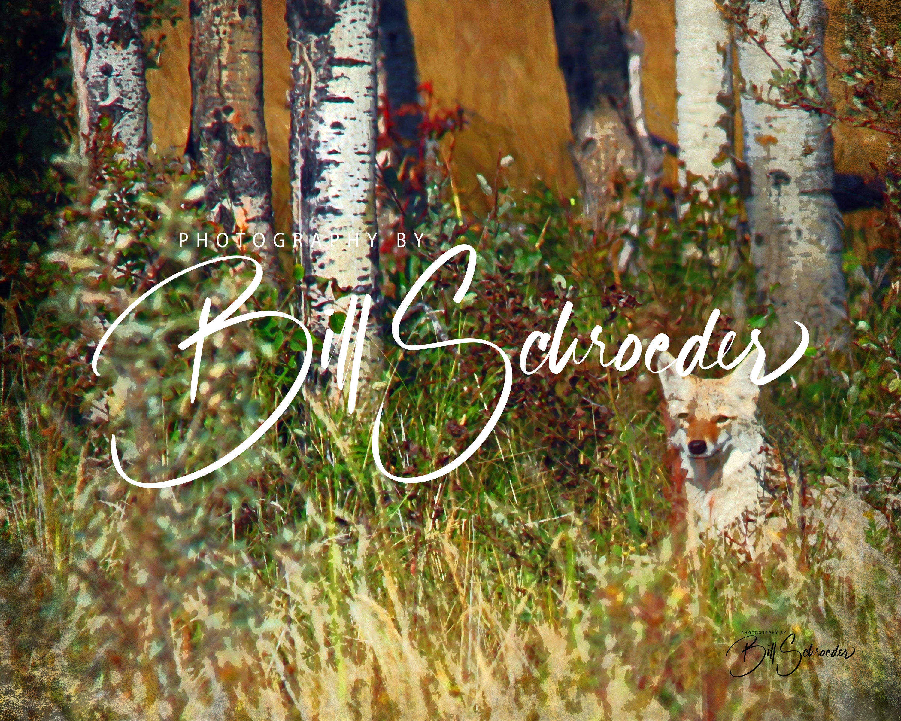 Outsmart The Puzzle: Aggressive Bluff Crossword Solution Revealed - 19qjxos