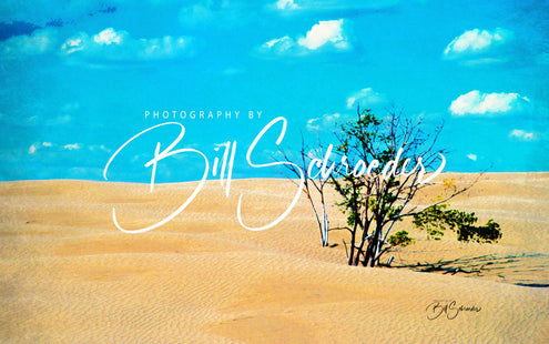 Dunes in Saskatchewan's Great Sandhills