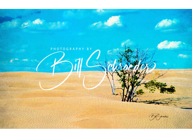Dunes in Saskatchewan's Great Sandhills