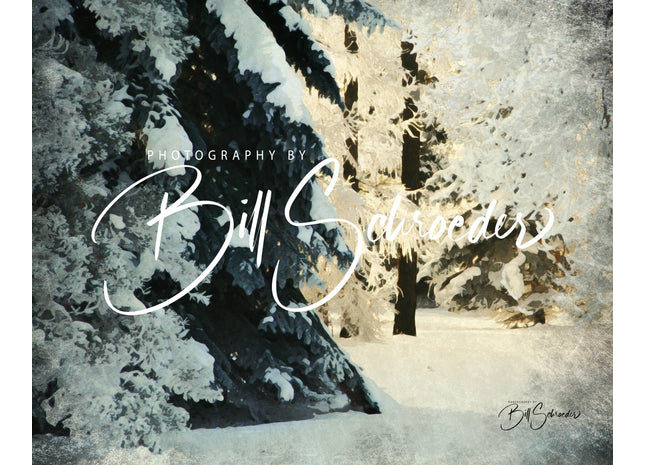 Frosty Forest Understory