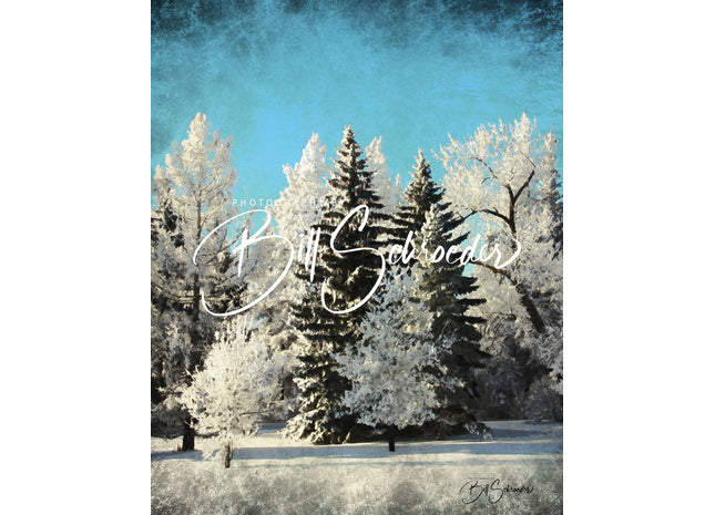 Frostry Spruce and Larch