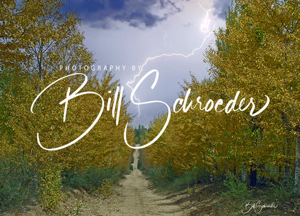 Golden Aspen Trail in Storm