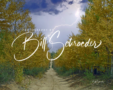 Golden Aspen Trail in Storm