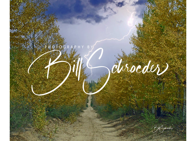 Golden Aspen Trail in Storm