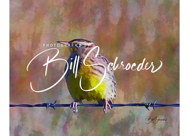 Bird on a Wire
