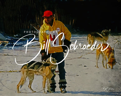 Musher and Dogs