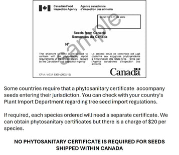 Phytosanitary Certificate