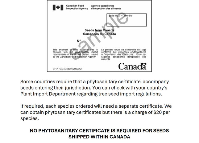 Phytosanitary Certificate
