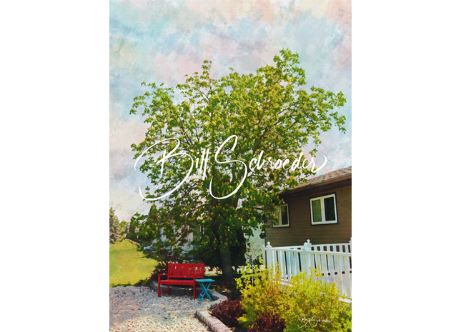 Red Bench on Woodward Avenue