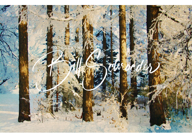 Siberian Larch Forest in Winter
