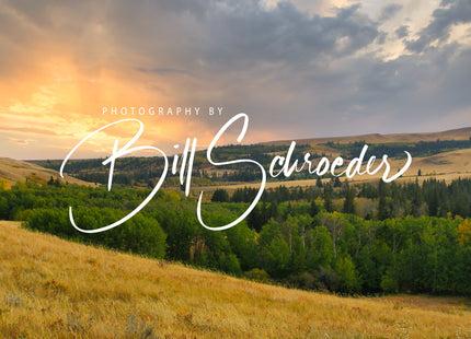 Sunset in the Cypress Hills