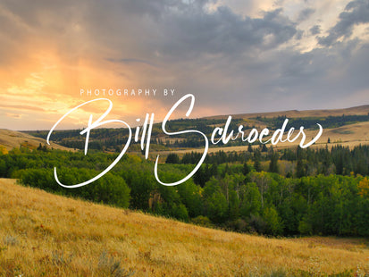 Sunset in the Cypress Hills