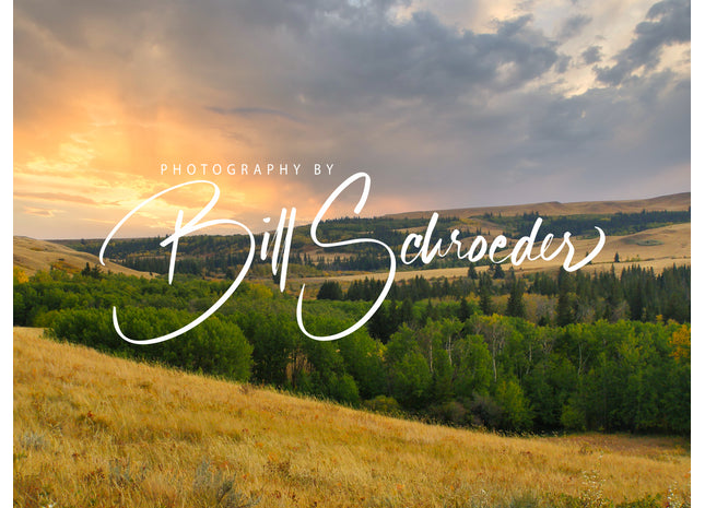 Sunset in the Cypress Hills