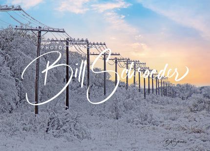 Telegraph Poles on a Frosty Morning