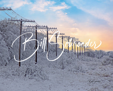 Telegraph Poles on a Frosty Evening