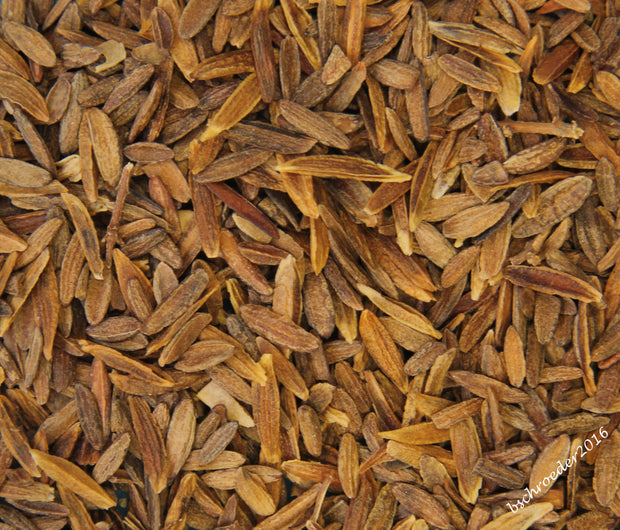 Tree and Shrub Seed Stratification